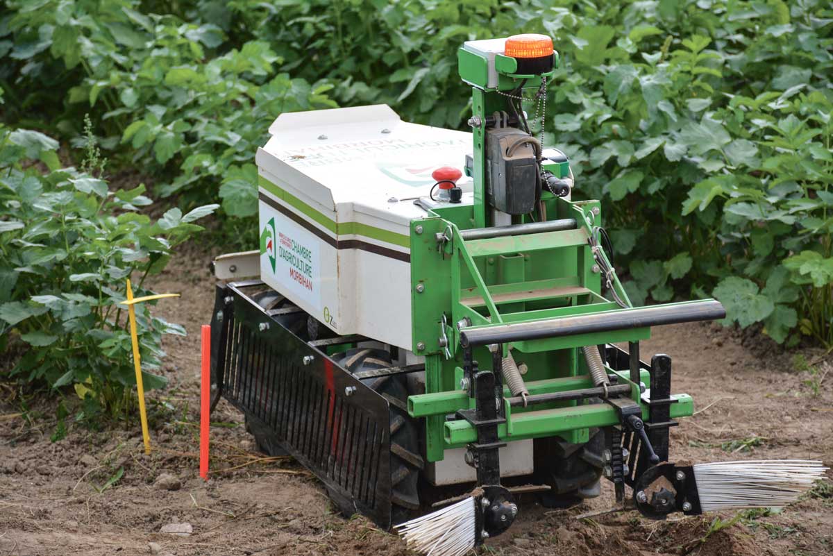 Le robot Oz se perfectionne. Le petit robot (Naïo Technologies) est désormais au point. De plus en plus de pépiniéristes, de viticulteurs et, en Bretagne, de maraîchers, l'utilisent pour désherber les cultures. À Kerplouz, où l'automate continue de faire ses preuves sur les planches de légumes, la MSA fait des observations sur la situation des maraîchers au travail notamment lors des plantations (port des caisses de plants) avec ou sans le robot. - Illustration En agriculture, les robots bouillent d&rsquo;impatience