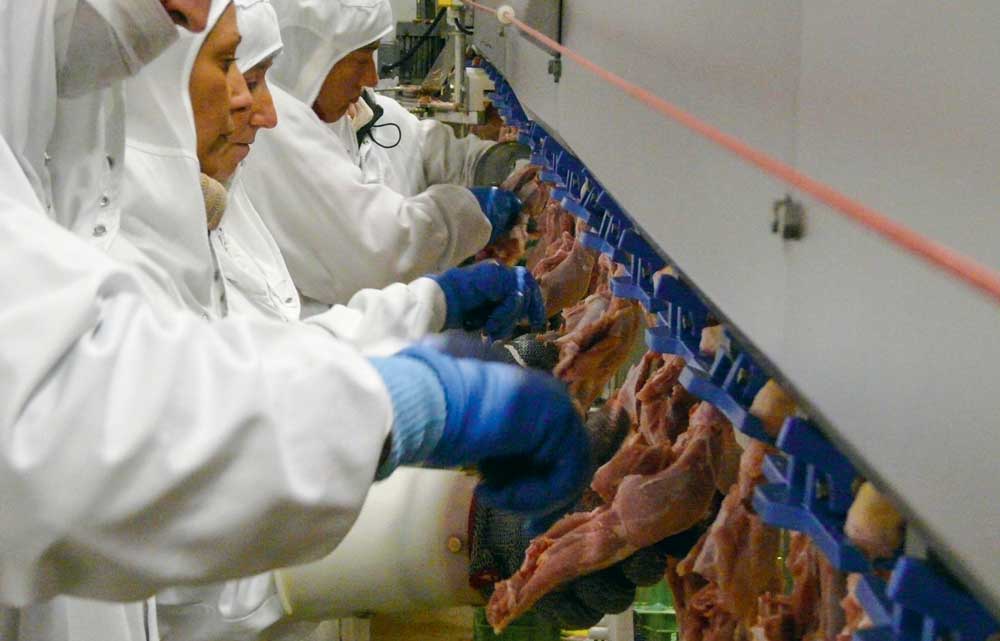 poulet-chaine-agro - Illustration L’agroalimentaire, en tête des secteurs industriels pour la disparition d’entreprises