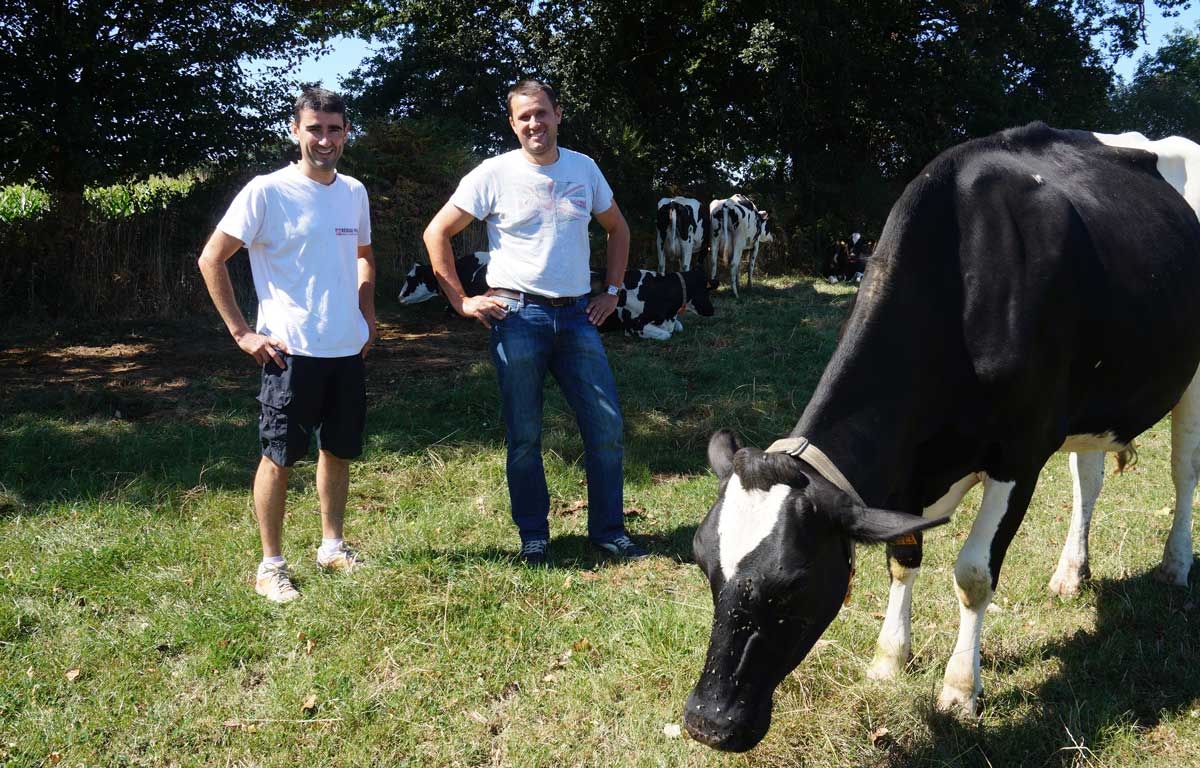  - Illustration Du ring à l&rsquo;élevage
