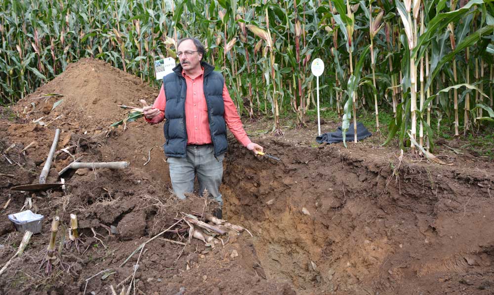 Daniel Hanocq, conseiller agronome à la Chambre d’agriculture, a commenté le profil de la parcelle d’essai. « Les racines vont chercher à boire en profondeur. Ici, le sol le permet ». - Illustration L&rsquo;agriculteur sait aussi être un tuteur