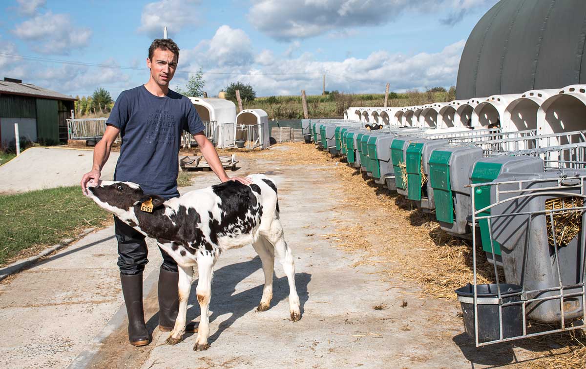 Aurélien Guyot, inséminateur, présente une fille du taureau Cypripède, très améliorateur en robustesse du pied, née chez Louis Leroy, à Bédée (35). - Illustration Cap sur la santé du pied des bovins
