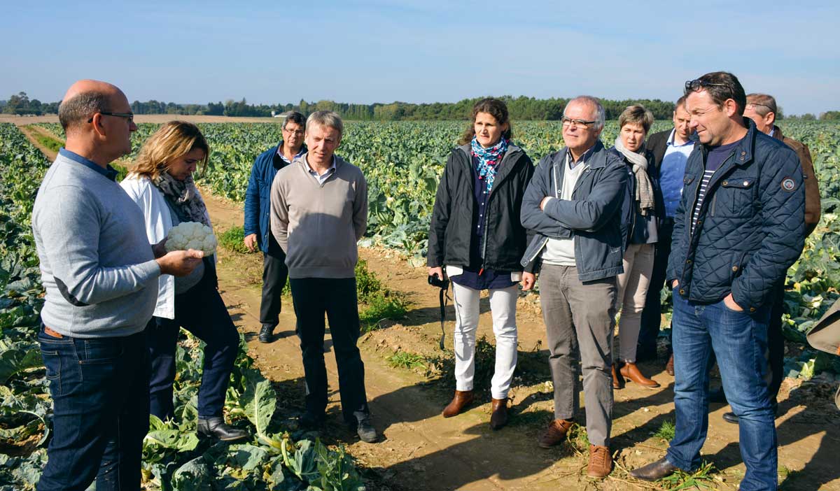 Des responsables de restaurants de collectivités ou d'entreprises agro-alimentaires en discussion avec des producteurs chez Jean-René Menier, à Mauron (56), sur le thème du développement des circuits courts, accessibles à tous les budgets. - Illustration À la recherche de circuits courts pour les gros volumes