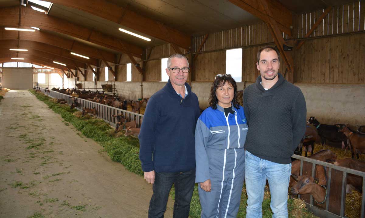 earl-joledam-moreac - Illustration Un équipement adapté à l’affouragement en vert des chèvres