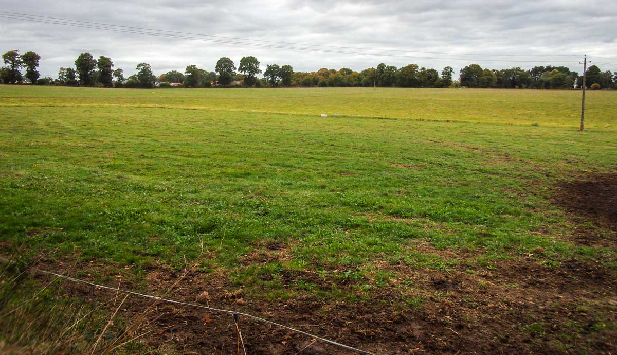 herbe-civam-intermediaire - Illustration Consommer les moindres repousses d&rsquo;herbe cet automne