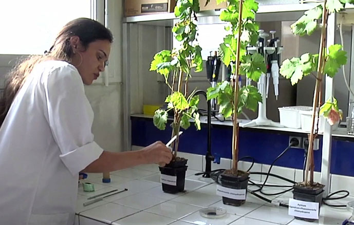 inra - Illustration Les grandes orientations de l&rsquo;Inra à horizon 2025