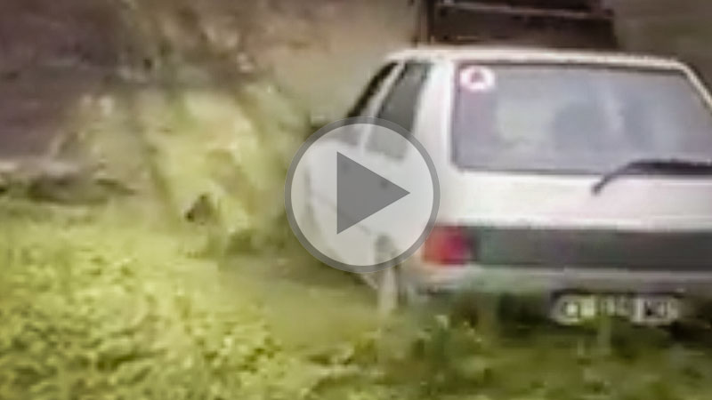 peugeot-205-tasse-mais - Illustration Non et non ! Une 205 n&rsquo;est pas faite pour tasser le maïs !