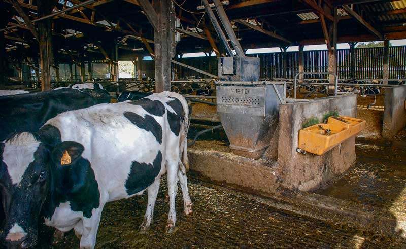 Le reconditionnement des 3 Dac permettra entre autres de mieux ajuster les courbes de distribution de concentrés à la production réelle des vaches. - Illustration Données d&rsquo;élevage : tout avoir sur un seul tableau de bord