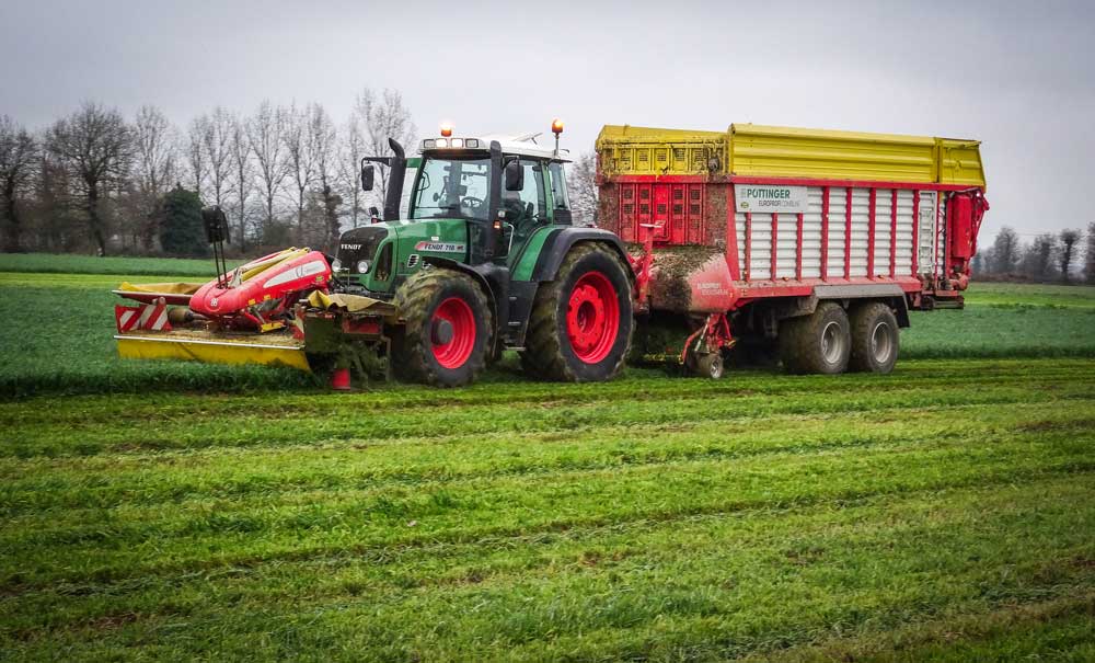 affouragement-en-verts - Illustration L&rsquo;affouragement en verts aussi en Cuma
