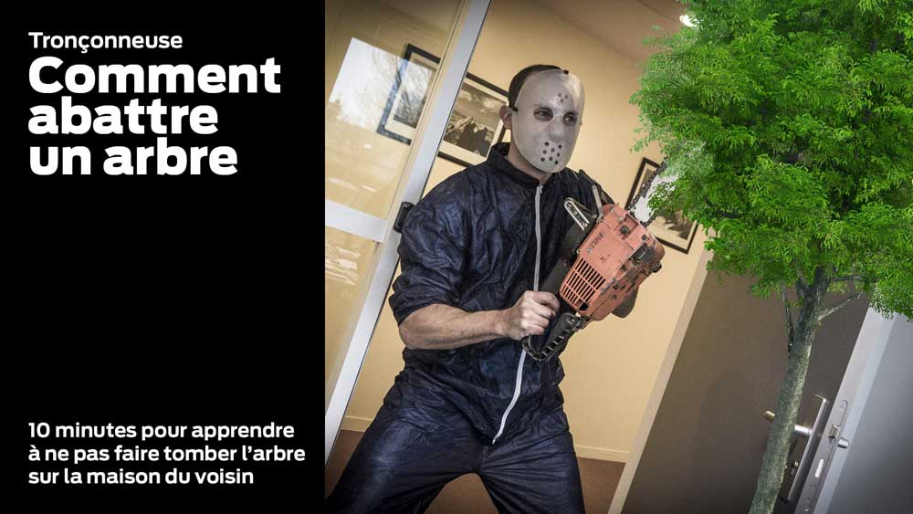 tronconneuse-abattage-arbre - Illustration Tronçonneuse – Comment abattre un arbre sans le faire tomber sur la maison du voisin