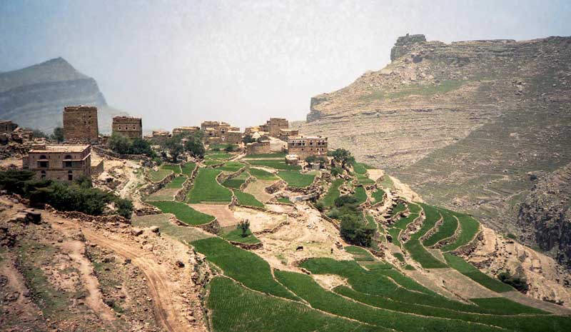 Yemen_agriculture-credit-wikimedia - Illustration Yemen : l&rsquo;UE investit 12M€ pour soutenir des projets agricoles avec la FAO