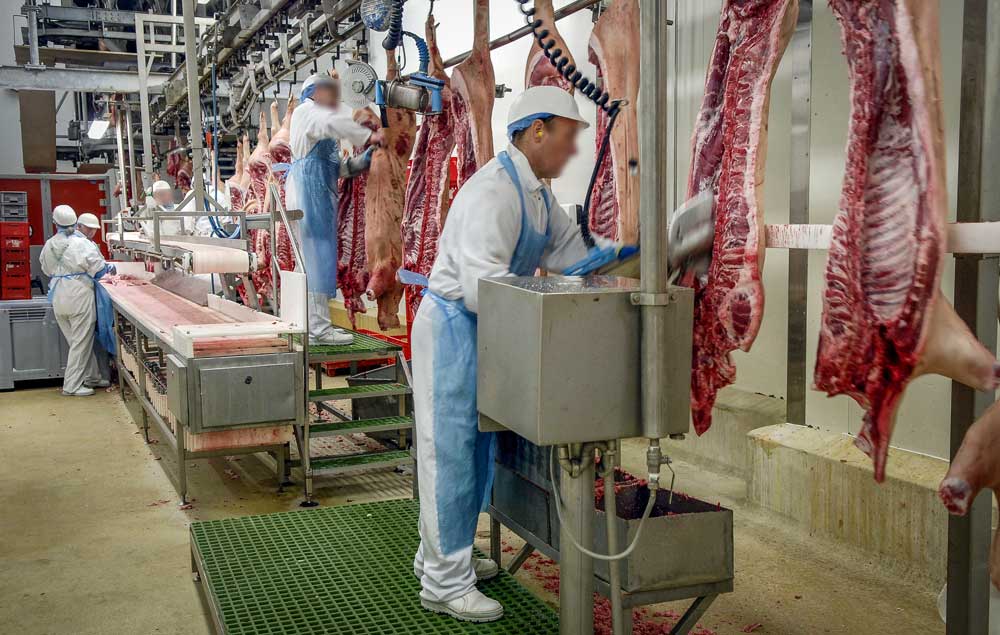 abattoirs-locmine - Illustration Abattoirs : les députes rejettent la vidéosurveillance et les « amendements L214 »
