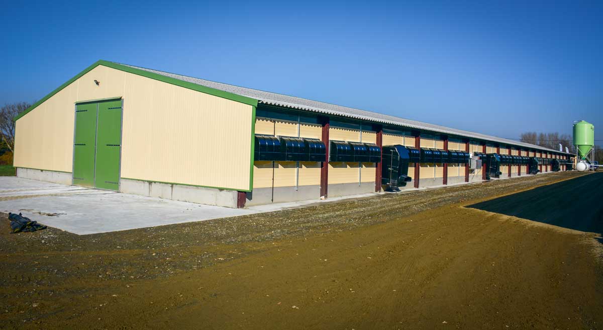 batiment-volaille-poulailler - Illustration Un poulailler neuf polyvalent de 1200 m2