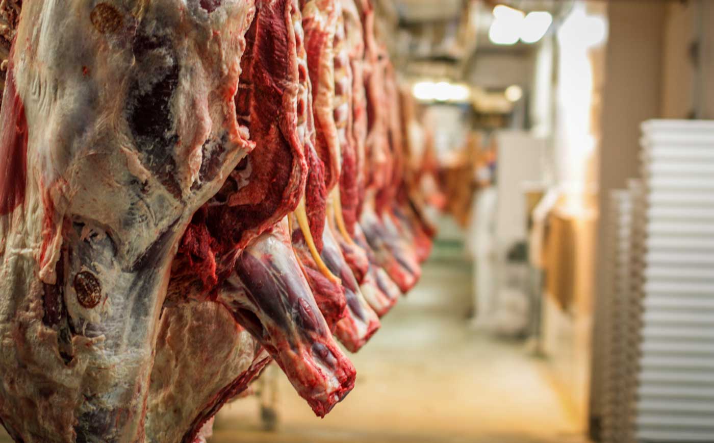 viande-abattoir-carcasse - Illustration Libre-échange : le Japon augmente ses droits de douane sur la viande bovine congelée