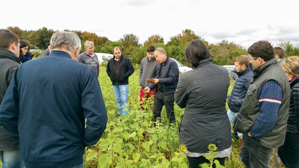Formation Agrosol sur le thème « réussir ses semis de céréales en non-labour » - Illustration Capinov Agrosolutions, plus loin que l&rsquo;analyse