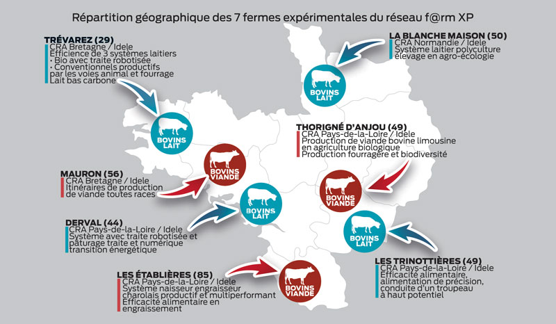 farmxp - Illustration Bovin : la recherche appliquée s&rsquo;inter-régionalise