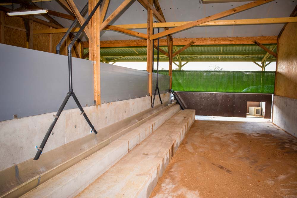 Le bâtiment d'engraissement sur paille (100 kg en moyenne par porc), avec rideaux amovibles et courette extérieure. Les caillebotis sont exclus dans le groupement Bio Direct. Chaque case comprend 33 places de porcs : 1,8 m2 à l'intérieur + 0,5 m2 à l'extérieur par porc. Le bâtiment est en ventilation statique. Les cases de post-sevrage ont une partie bien isolée, avec les nourrisseurs, et une partie ouverte sur l'extérieur. - Illustration Un atelier neuf en porc bio à Pedernec