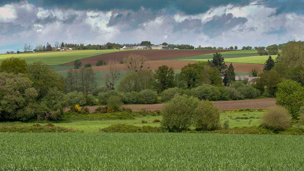 paysage - Illustration « Préparer la Pac de demain »