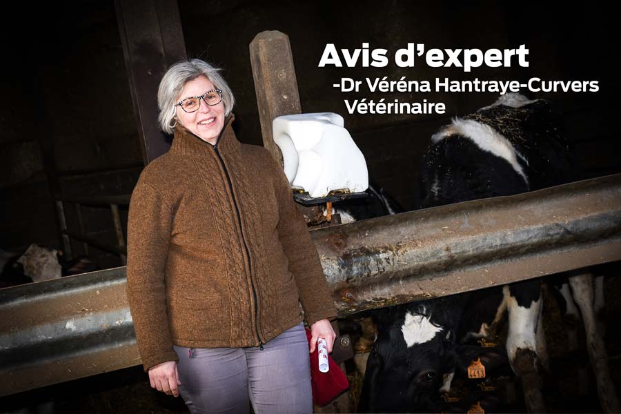 td_verena-veterinaire - Illustration Les médecines alternatives sont une solution d&rsquo;avenir