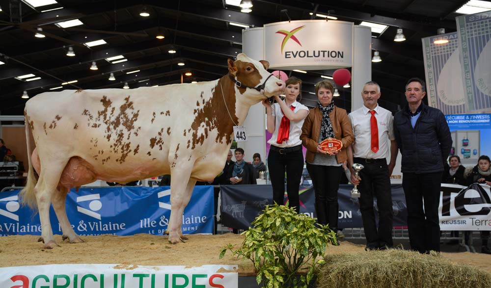 La Championne Fuschia, de la SCEA La Jolais (44). - Illustration Retour de la Foire de Rennes 2017 : résultats des concours
