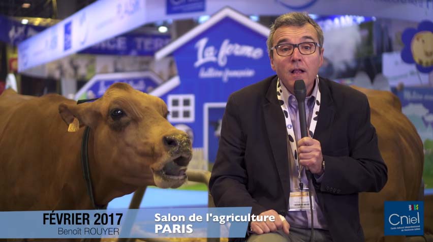 cniel-conjoncture-lait-fev2017 - Illustration CNIEL : « Une situation laitière encore compliquée pour les éleveurs »