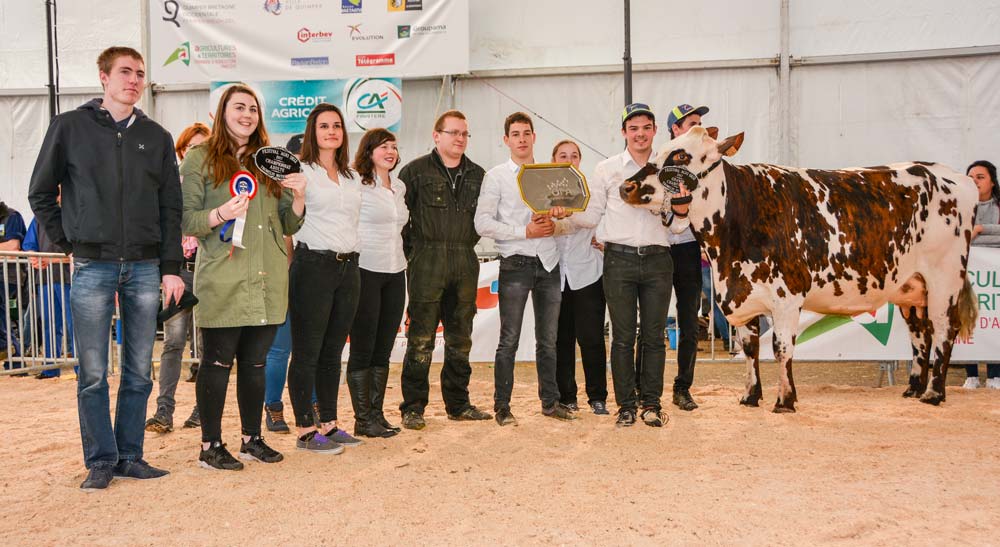 La joie des élèves du Nivot : une nouvelle fois, l’établissement remporte le concours avec Hernie. - Illustration Pie Rouge et Normande à AgriDeiz : Hernie et Iliade font leur odyssée