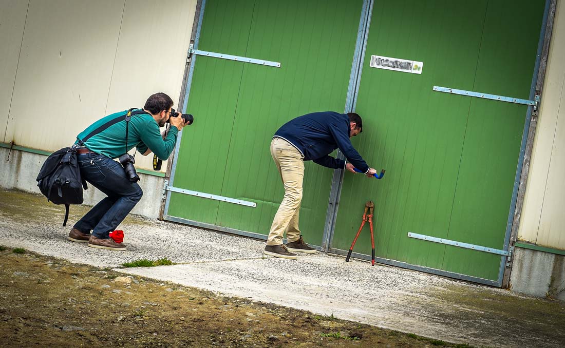 vol-image-l214 - Illustration Vol d&rsquo;images : Inadmissible