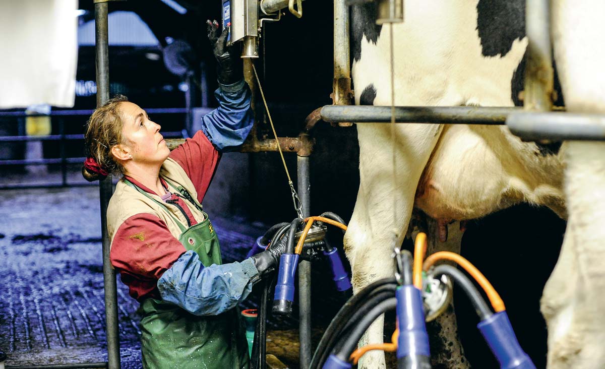 dossier-traite-lait - Illustration Le point sur les équipements de traite actuels