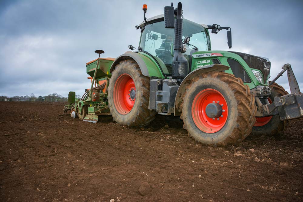Le semis positionne la graine à 4 cm de profondeur, pour une densité de 160 kg/ha. L’utilisation de semences fermières est possible, ce qui réduit encore le coût de la culture. - Illustration Autonomie alimentaire : le lupin, alternative au soja