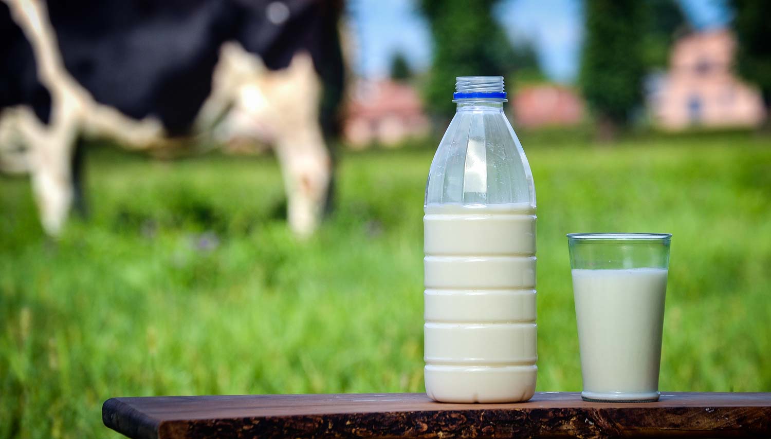 lait-bouteille-crise - Illustration Recherche : la BEI accorde un prêt de 40 Mio € à Sodiaal