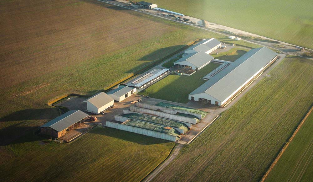 Ferme_des_mille_vaches - Illustration Ferme des 1000 vaches : le rapporteur public donne raison à l&rsquo;exploitant