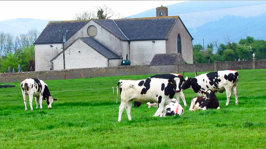 Irlande-lait_Troupeau-James-et-Pat - Illustration Irlande : Vendre les terres pour s&rsquo;assurer une retraite