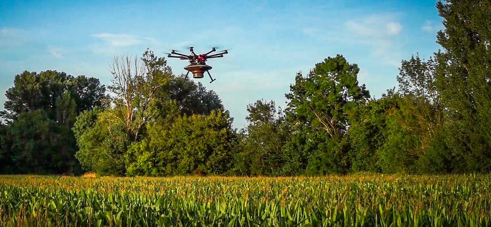 Drone effectuant la lutte biologique contre la pyrale par épandage de trichogramme sur une parcelle de maïs. - Illustration Pyrale, la lutte s&rsquo;organise