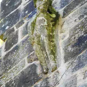 Guinvarc'h représente l'offense à Dieu.