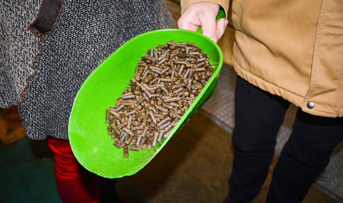 aliment-animal - Illustration La segmentation s’amplifie en nutrition animale
