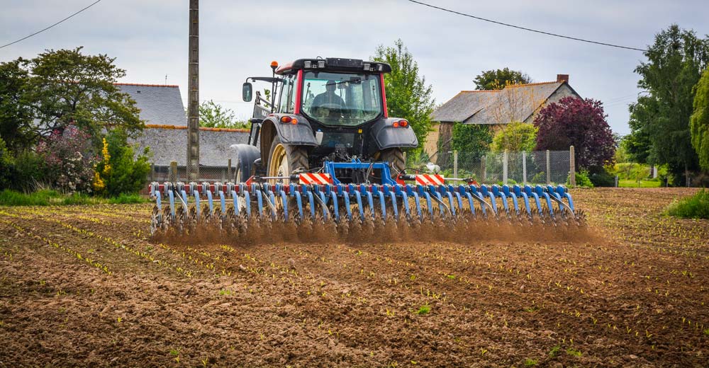 Sur maïs, le producteur passe la houe rotative au stade filament blanc des adventices, puis un peu plus tard avant le stade 3-4 feuilles du maïs. - Illustration Moins 45% d&rsquo;herbicides grâce à la houe rotative