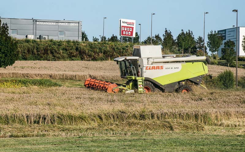 Mardi 22 août, à Broons, les Jeunes Agriculteurs ont moissonné les parcelles qu’ils avaient implantées en blé en novembre dernier. - Illustration « Nous sèmerons jusqu’à ce que les mentalités changent »