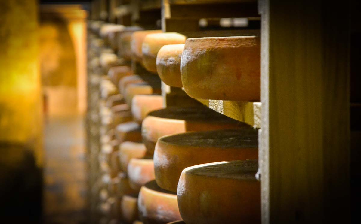 lait-fromage-comte-cave-affinage - Illustration A la découverte de l&rsquo;AOC Comté, filière à forte valeur ajoutée