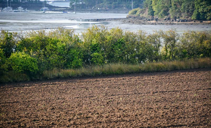 eau-environnement-baie-vilaine - Illustration L&rsquo;eutrophisation augmente en baie de Vilaine