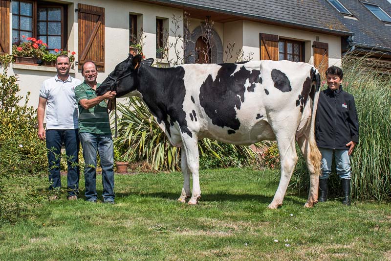Maryvonne, Arsène et Sébastien David accompagnés de DHP Joker (Chelios x Windbrook). Avec 1,62 m au sacrum et une bonne mamelle, cette primipare pointée TB 88 défendra les couleurs de l’EARL au Space. - Illustration Prim&rsquo;Holstein : Bonnes pattes et belles mamelles pour voyager loin