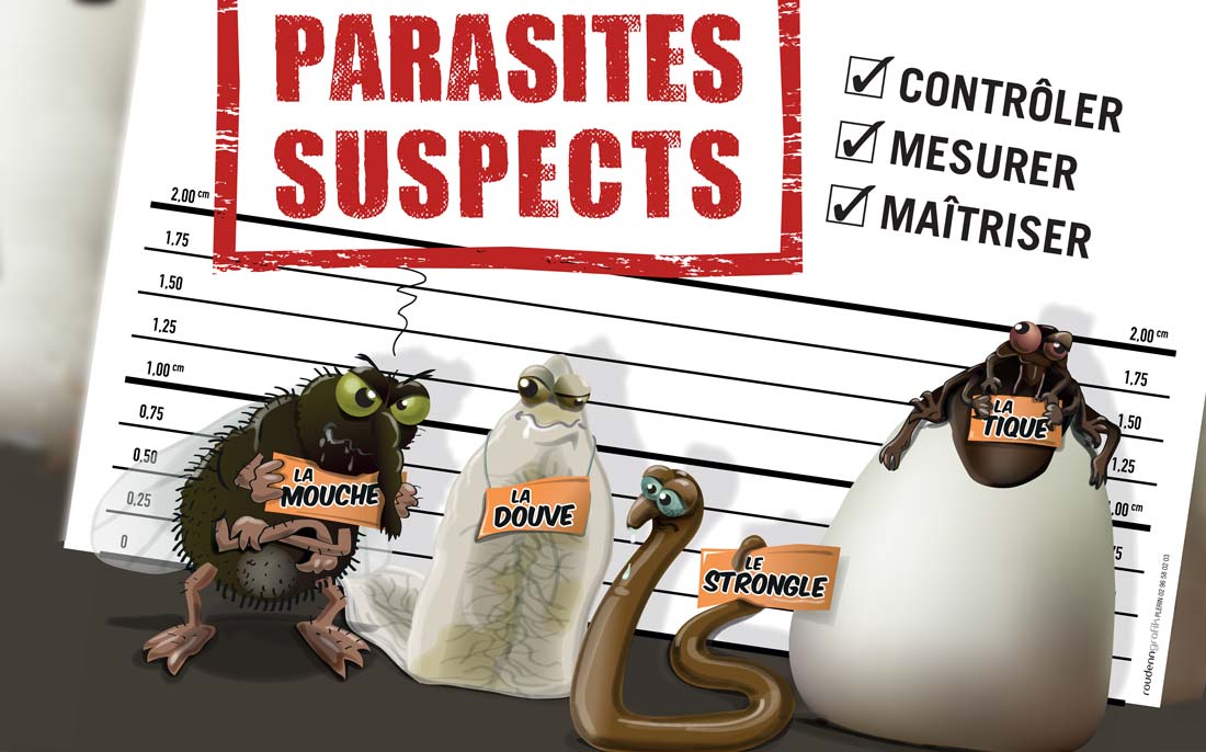 breizh-vet-tour-parasites - Illustration Broutards et strongles