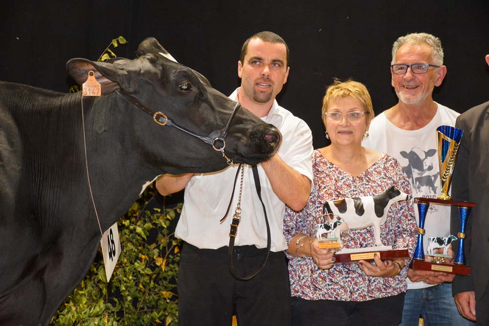 L'EARL du Vieux Chêne (famille Le Strat) à la remise du prix de grande Championne. - Illustration En Prim&rsquo;Holstein, Jummer domine ses aînées