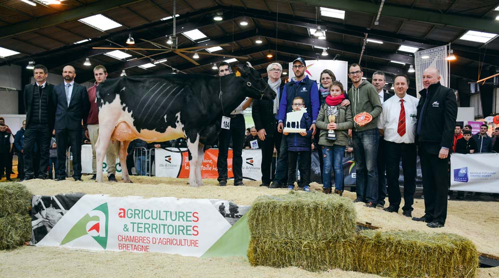Ikaye, Grande Championne et Meilleure mamelle adulte du concours. - Illustration Concours Prim&rsquo;Holstein : Ikaye entre dans le sérail
