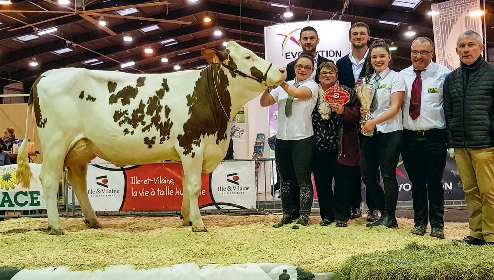 Lolistar, à l’EARL de la Villechère, Championne du concours montbéliard 2018. - Illustration Le meilleur de la génétique départementale à la Foire de Rennes
