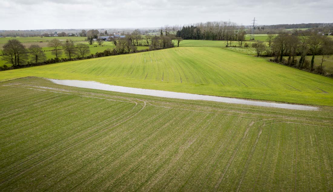 cereales-eau-innondation - Illustration Céréales : des parcelles souffrent d’hydromorphie