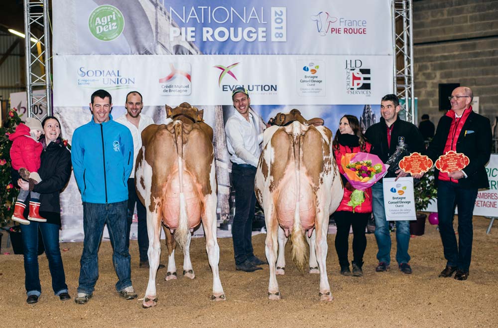 Beaucoup d’émotions pour l’équipe du Gaec de Toul Manach mis à l’honneur grâce à Hadisso 100 et Iliade 29 qui ont marqué ce National. - Illustration Agri Deiz : Iliade au sommet