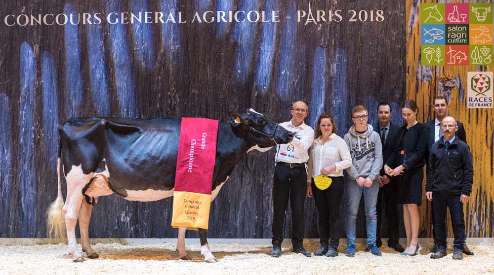 Après avoir été désignée Championne et Meilleure mamelle jeune, Stel Jefa, au Gaec le Druillennec, est sacrée Grande Championne de Paris 2018. - Illustration Concours Prim&rsquo;Holstein au SIA : Stel Jefa, la jeunesse au pouvoir