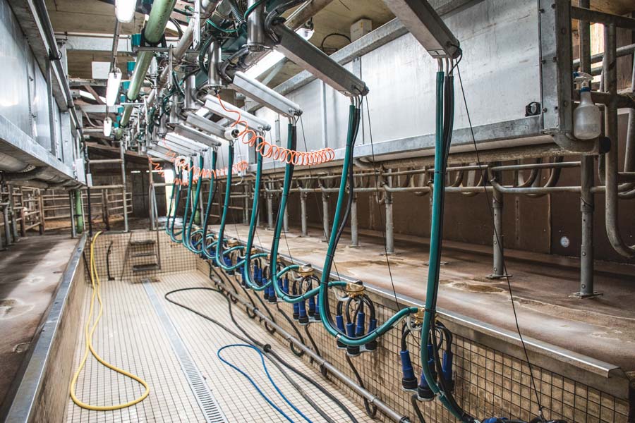 Une largeur de quai minimum de 2,5 m est nécessaire pour installer une stalle TPA en lieu et place d’un ancien épi 30 degrés en conservant le couloir de retour. - Illustration « Une traite rapide  et confortable est agréable »