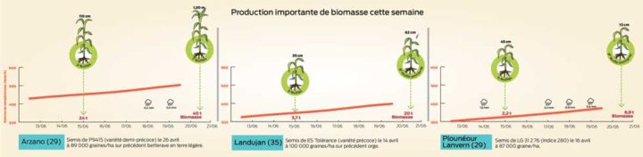 production-importante-biomasse