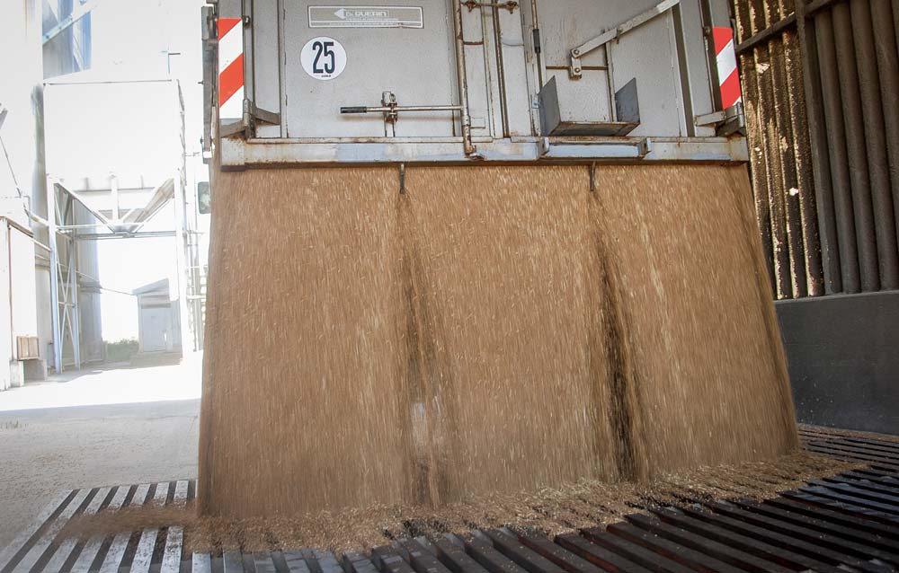 coop-grain-cereales - Illustration Des céréales bien ventilées pour conserver la qualité des grains