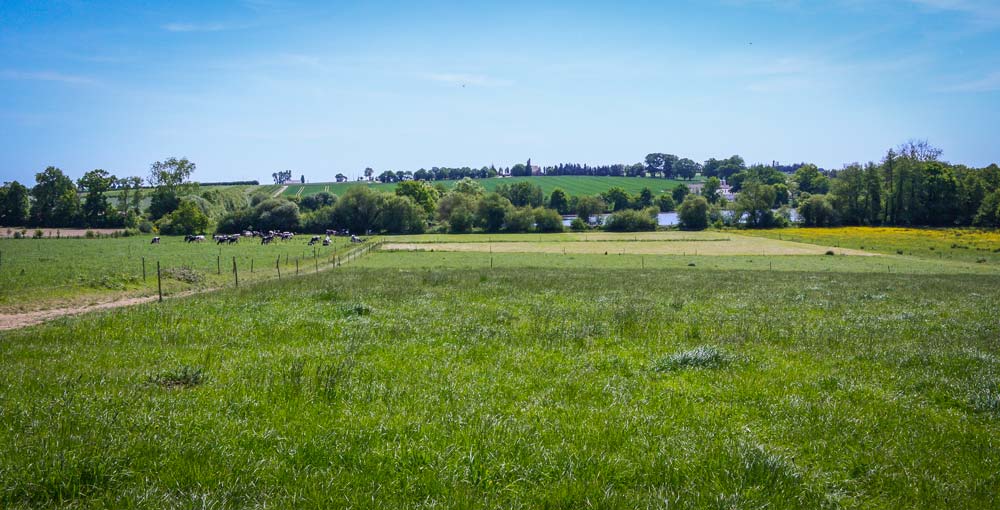 Des parcelles jusqu’alors destinées aux céréales de l’autre côté de la route ont été implantées en prairies. - Illustration L’accessibilité à l&rsquo;herbe, une notion propre à chaque éleveur